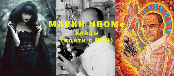 стаф Волосово
