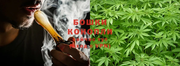 PSILOCYBIN Бронницы