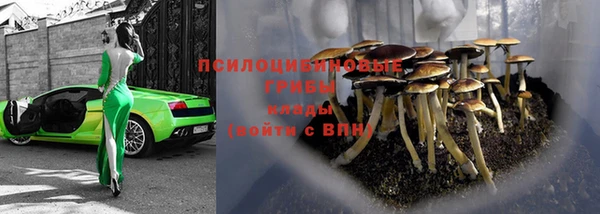 стаф Волосово