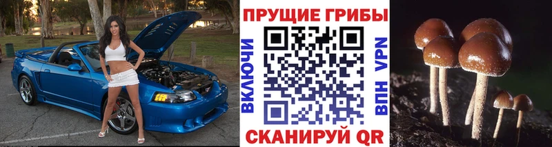 где найти наркотики  Волоколамск  Галлюциногенные грибы ЛСД 